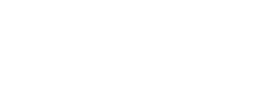 地味だけど